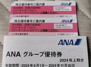 □ANA 株主優待券 2枚(株式優待番号ご案内書)　□グループ優待冊子1冊付き　□送料無料(普通郵便)