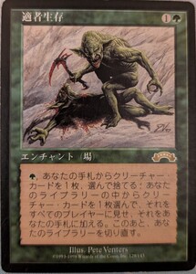 適者生存 日本語 MTG 1枚