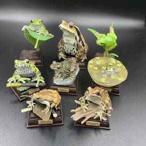 ネイチャーテクニカラー 日本のカエル 全8種 シークレット(トウキョウダルマガエル）含む コンプリート