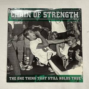 CHAIN OF STRENGTH / the one thing that stgll hold true LP