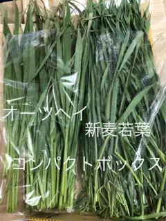 生牧草オーツヘイと新麦若葉コンパクトボックス