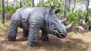 JET inflatable Rhino