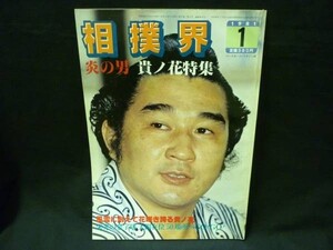 相撲界1981年1月号★貴乃花.輪島.北の湖.増位山/ほか★ベースボール・マガジン社・A4判・昭和56年■27/3