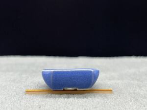 【菊池清心】均窯釉内縁隅切切足正方・清心・3.0cm・豆鉢・豆盆栽・ミニ鉢・ミニ盆栽・即戦力