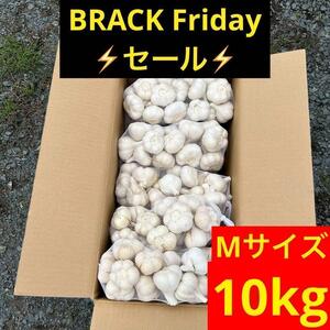 【1000円お得】10kg M 青森県産にんにく 福地ホワイト六片 美品 加工