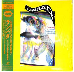 e7934/LD/帯付/ランバダ/LAMBADA