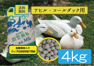 【期間限定SALE大特価】※送料無料 【アヒル・コールダック用飼料・ペレット】4kg 　オリエンタル酵母工業MS