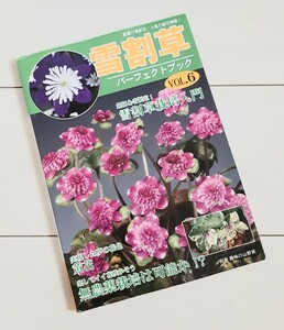 雪割草パーフェクトブック vol.6 超初心者限定!雪割草栽培入門 夢の花色・黄花 無農薬栽培は可 (別冊趣味の山野草)