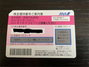 ANA 全日空 株主優待券1枚2025/5/31まで