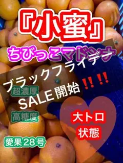 500円OFF！！小蜜まどんな　エビス丸特選　農家直送