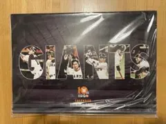 GIANTS ジャイアンツ 2018年 2019年 カレンダー 未開封