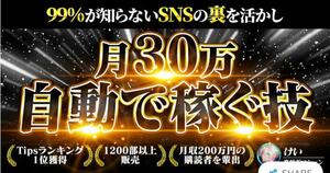 ★【1500部突破】★【裏世界】99%の人が知らないSNSの裏事情を活かして自動で稼ぐ方法:裏SNS★定価52000円★