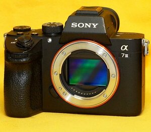 ★一発即決★ソニー「α7 III」本体★画像5は別売に★位相差AF＆手ぶれ補正★フルサイズ★最新ファームウェアに更新済です★SONY ILCE-7M3