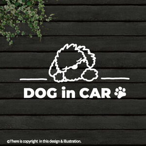 DOG IN CAR/プードル001/トイプー ■手書きわんこ　カッティングステッカー