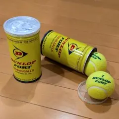 テニスボール ビンテージ デッドストック DUNLOP FORT フォート