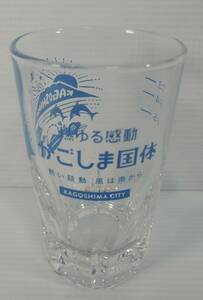 ☆X10■燃ゆる感動　かごしま国体　焼酎・お湯割りグラス■2023