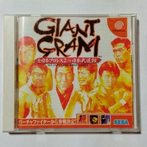 SEGA Dreamcast ドリキャス DC 「GIANT GRAM 全日本プロレス2 in 日本武道館」 @ 取説あり @ 帯無し