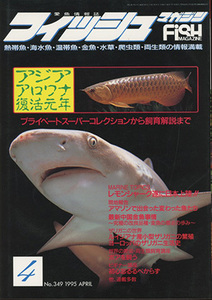 ■フィッシュマガジン　1995.4月号〔特集：アジアアロワナ復活元年〕検：ボア・中国金魚・ザリガニ