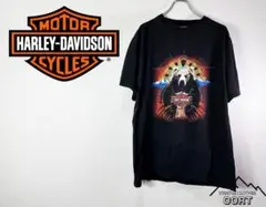 US古着 Tシャツ ハーレーダビッドソン HAREY DAVIDSON 熊