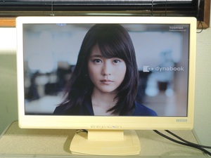 【動作しますがジャンク扱い】I-O DATA　20型ワイド液晶ディスプレイ　LCD-AD202XW-P