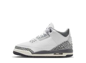 Nike GS Air Jordan 3 "Animal Icon/Safari" 22.5cm DX6665-100