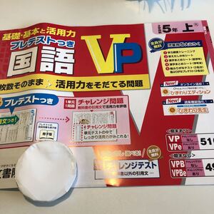 Y23.107 国語VP 5年生 ドリル 計算 テスト プリント 予習復習 国語 算数 理科 社会 英語 家庭科 家庭学習 ひまわり先生