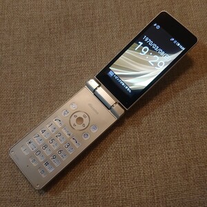 SH-02L docomo