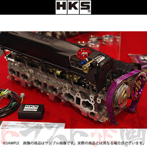 HKS RB26 Vカム システム STEP2 カムシャフト単品 スカイライン GT-R BCNR33 RB26DETT 22002-AN036 トラスト企画 ニッサン (213121480