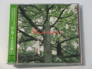 Kml_ZC5600／Kiroro：長い間 ～キロロの森～（帯付きCD）