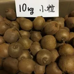 新鮮　キウイ　10kg 小粒果実　無農薬