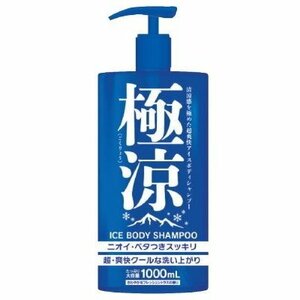 【大容量　12本セット】 極涼 アイス ボディシャンプー (1000mL) クールボディソープ