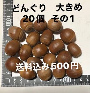 送料込み　どんぐり 大きめ　20個 その1 サイズ縦2.0cm クヌギ アベマキ　木の実 工作 手芸 リース　煮沸処理済み　自然乾燥