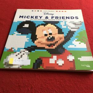 c-210 MICKEY&FRIENDS ※4