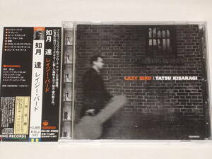 如月達/レイジー・バード/CDアルバム TATSU KISARAGI LAZY BIRD JERRY BERGONZI NIAL DJULIARSO MASSIMO BIOLCATI SCOTT GOULDING