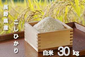 【新米】令和６年長野県産コシヒカリ白米30キロ（10キロ×3袋） 棚田米 精米したてをお届け!!　＃インボイス発行可 ＃送料無料