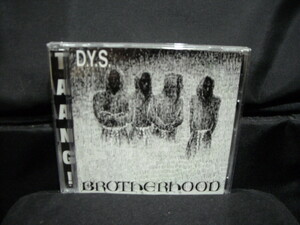 輸入盤CD/D.Y.S./DYS/BROTHERHOOD/80年代USボストンハードコアパンクHARDCORE PUNKハードコアパンク