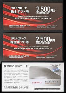 ツルハ 株主ギフト券 5000円分 + 株主優待カード1枚 【送料無料】 株主優待券 ドラッグストア レディ薬局 くすりの福太郎 メディコ 杏林堂