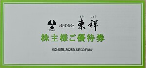 【送料無料！】★東祥株主優待券（ホリデイスポーツクラブ、ホリデイゴルフガーデン）★1枚☆有効期限2025.6.30まで