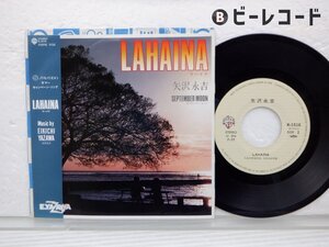 矢沢永吉/Lahaina = ラハイナ/K-1516