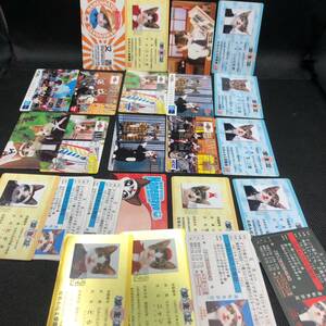 なめ猫 カード　24枚セット売り 免許証 なめんなよ学園