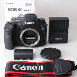 ★極上品★ショット数4871回★ Canon キャノン デジタル一眼レフカメラ EOS 6D Mark II ボディー #6769