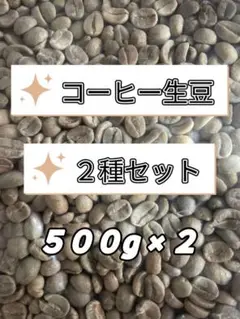 【メキシコ】ＳＨＧクステペック【ブラジル】モジアナ・レーズン　各５００g