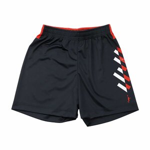 1580241-InThePaint/SHORTS バスケットショーツ バスケットパンツ/XL