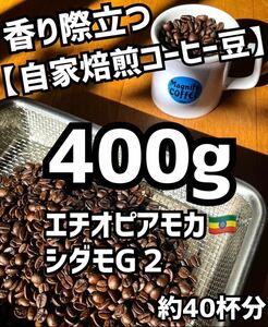 【匿名配送】自家焙煎コーヒー豆　【大容量】エチオピア・モカシダモG2 /400g 約40杯分　(豆or粉)