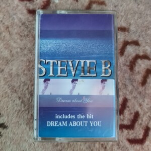 STEVE B/Dream about You カセットテープ