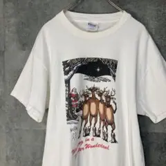 ビンテージ　Hanesヘインズ　シングルステッチ　90s USA製　Tシャツ
