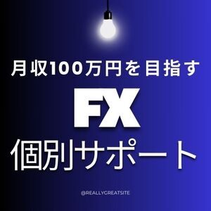 FXで月収100万円を目指す　個別サポート-4