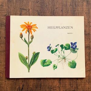 ドイツの古い植物図鑑(HEILPFLANZEN)/アンティーク ヴィンテージ 植物画 花の絵 洋書 ボタニカルアート イラスト 雰囲気◎/