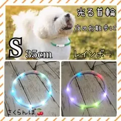 【新品】S レインボー　首輪　光る　夜のお散歩　小型犬　人気　シリコン  犬用