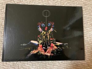the GazettE アルバム完全生産限定盤 DIVISION 美品　ガゼット